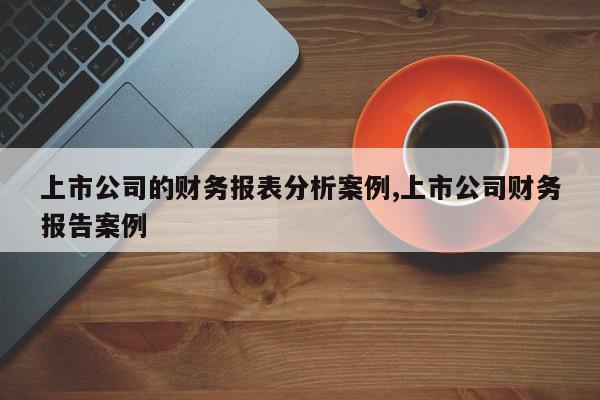 上市公司的财务报表分析案例,上市公司财务报告案例