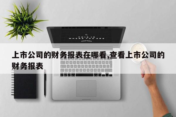 上市公司的财务报表在哪看,查看上市公司的财务报表