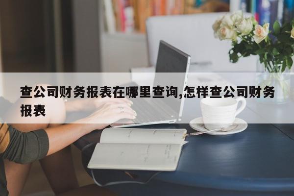 查公司财务报表在哪里查询,怎样查公司财务报表